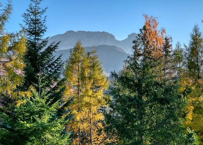 Biała Róża * Zakopane